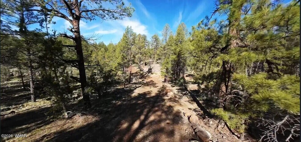 950 Birdsong Wy, Lakeside, AZ à vendre - Aérien – Image 2 sur 35