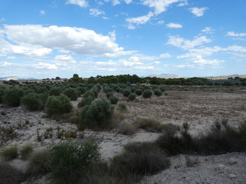 Terrain dans Molina de Segura à vendre - Aérien – Image 1 sur 12
