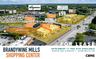 Plus de détails pour Route 202 & Route 1, Glen Mills, PA - Local commercial à louer
