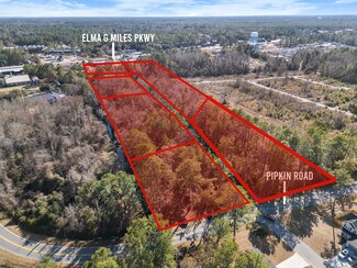 Plus de détails pour 0 Pipkin Rd, Hinesville, GA - Terrain à vendre