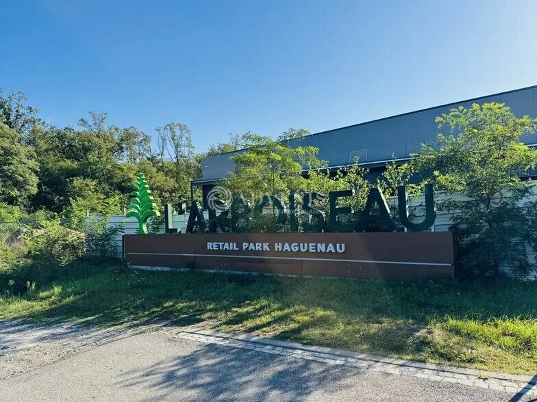 Local d'activités dans Haguenau à vendre - Photo de l’immeuble – Image 3 sur 11