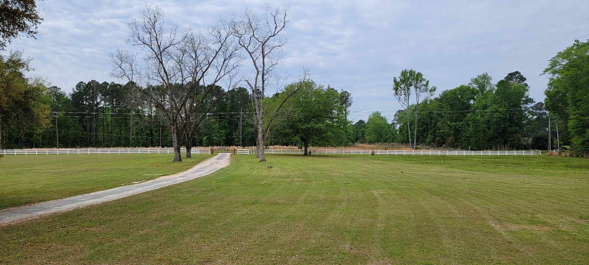 6380 Char Augusta Rd, Bamberg, SC à vendre Photo principale– Image 1 sur 19