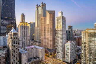 Plus de détails pour 980 N Michigan Ave, Chicago, IL - Bureau à louer
