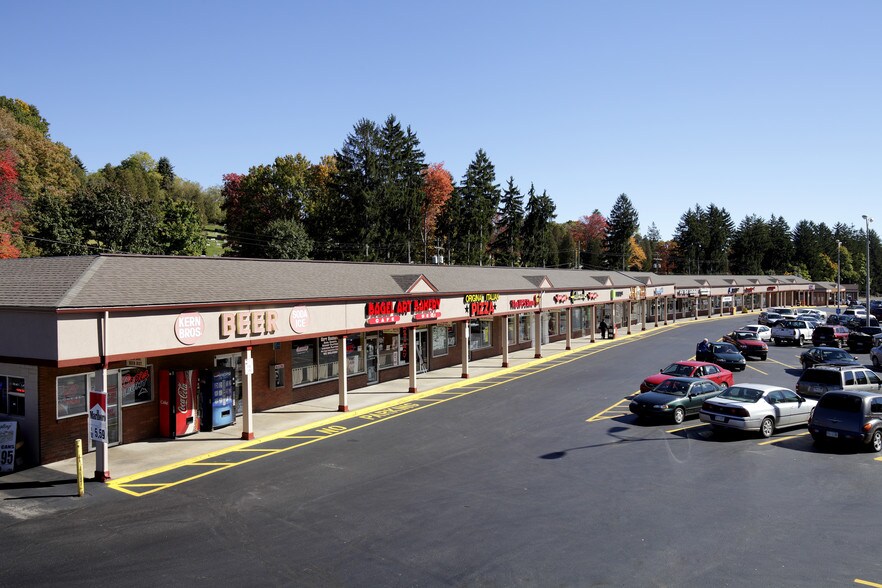 40-65 Dallas Shopping Ctr, Dallas, PA à louer - Photo de l’immeuble – Image 2 sur 9
