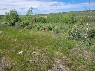 Plus de détails pour Lochend Rd, Rocky View No 44, AB - Terrain à vendre
