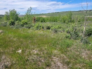 Plus de détails pour Lochend Rd, Rocky View No 44, AB - Terrain à vendre