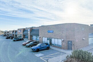 Plus de détails pour 39 Riviera Dr, Markham, ON - Industriel/Logistique à louer