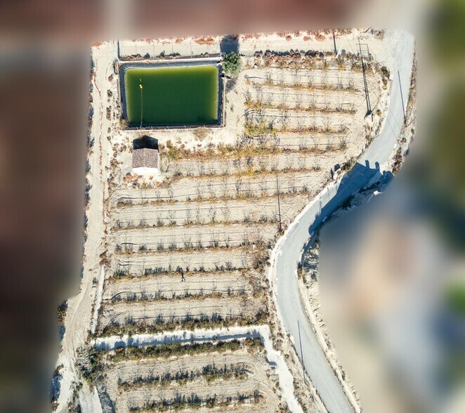 Terrain dans Abarán, Murcia à vendre - Aérien – Image 2 sur 13