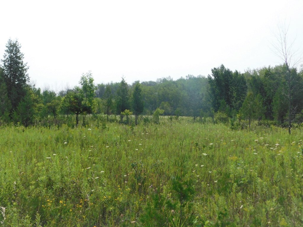 Lot 3 Highway 42-57, Sturgeon Bay, WI à vendre Photo principale– Image 1 sur 9
