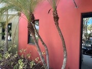 IMG_8183