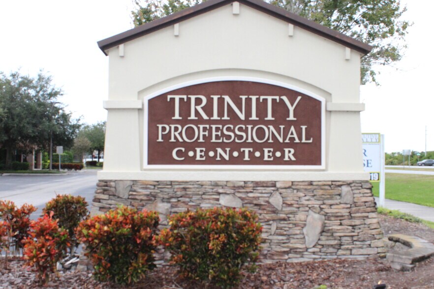 8820 Belagio Dr, Trinity, FL à louer - Autre – Image 3 sur 6