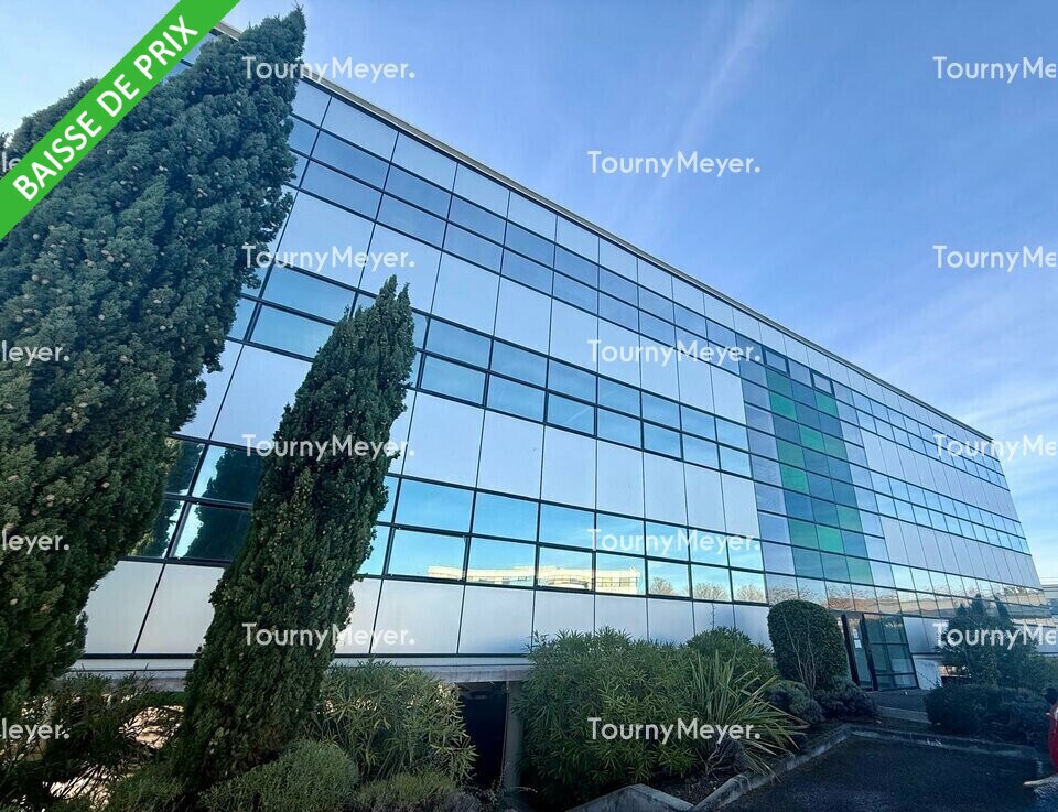 1 Rue Du Professeur Pierre Vellas, Toulouse à louer Photo de l’immeuble– Image 1 sur 9