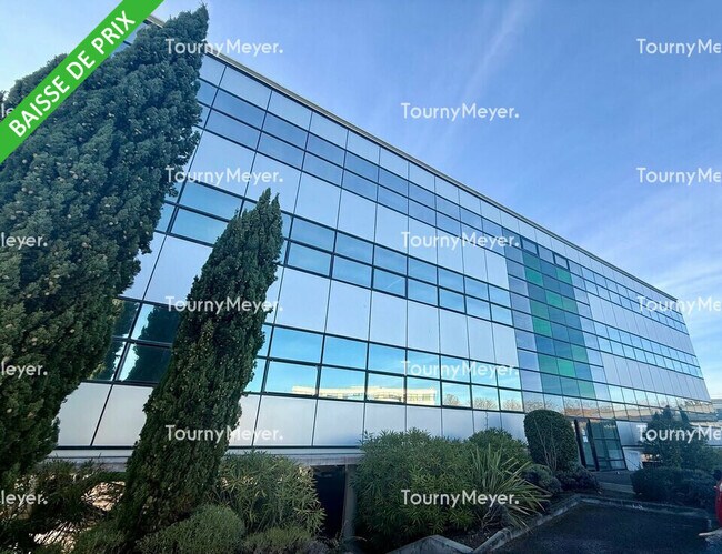 Plus de détails pour 1 Rue Du Professeur Pierre Vellas, Toulouse - Bureau à louer