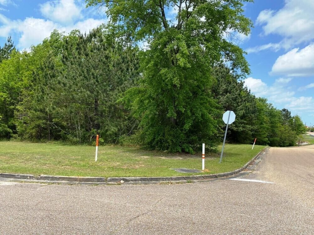 000 41st Ave., Hattiesburg, MS à vendre Autre– Image 1 sur 6