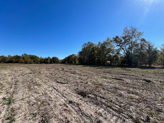1500 Highway 21, Atmore, AL à vendre - Photo principale – Image 1 sur 12