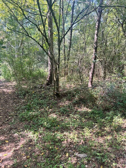 7330 Frix Rd, Cumming, GA à vendre - Photo de l’immeuble – Image 2 sur 28