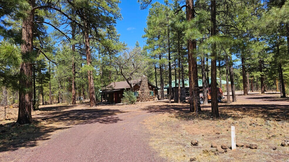 182 White Mountain blvd, Lakeside, AZ à vendre - Photo de l’immeuble – Image 2 sur 74