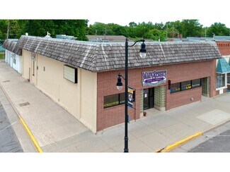 Plus de détails pour 345 Main St N, Renville, MN - Local commercial à vendre