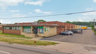 Plus de détails pour 26051 Michigan Ave, Inkster, MI - Industriel/Logistique à louer