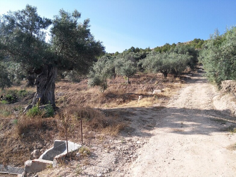 Terrain dans Calasparra, Murcia à vendre - Plan de site – Image 2 sur 25