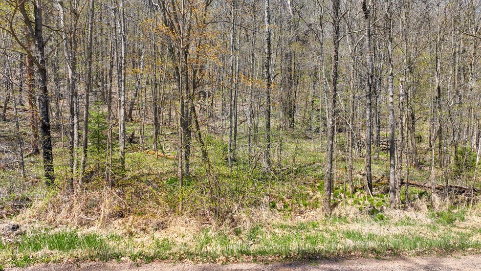 N Gueldner Lane, Exeland, WI à vendre - Photo de l’immeuble – Image 2 sur 10