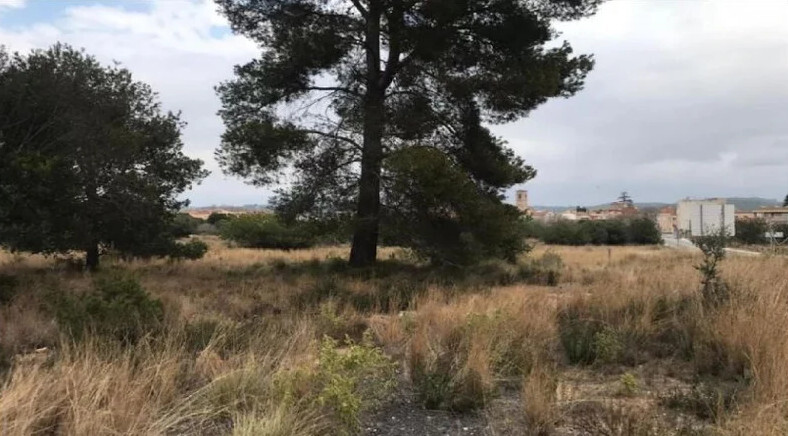 Terrain dans El Rourell, Tarragona à vendre - Photo de l’immeuble – Image 3 sur 5