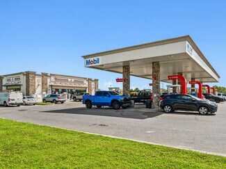 Plus de détails pour 4920 Moccasin Wallow Rd, Palmetto, FL - Local commercial à vendre