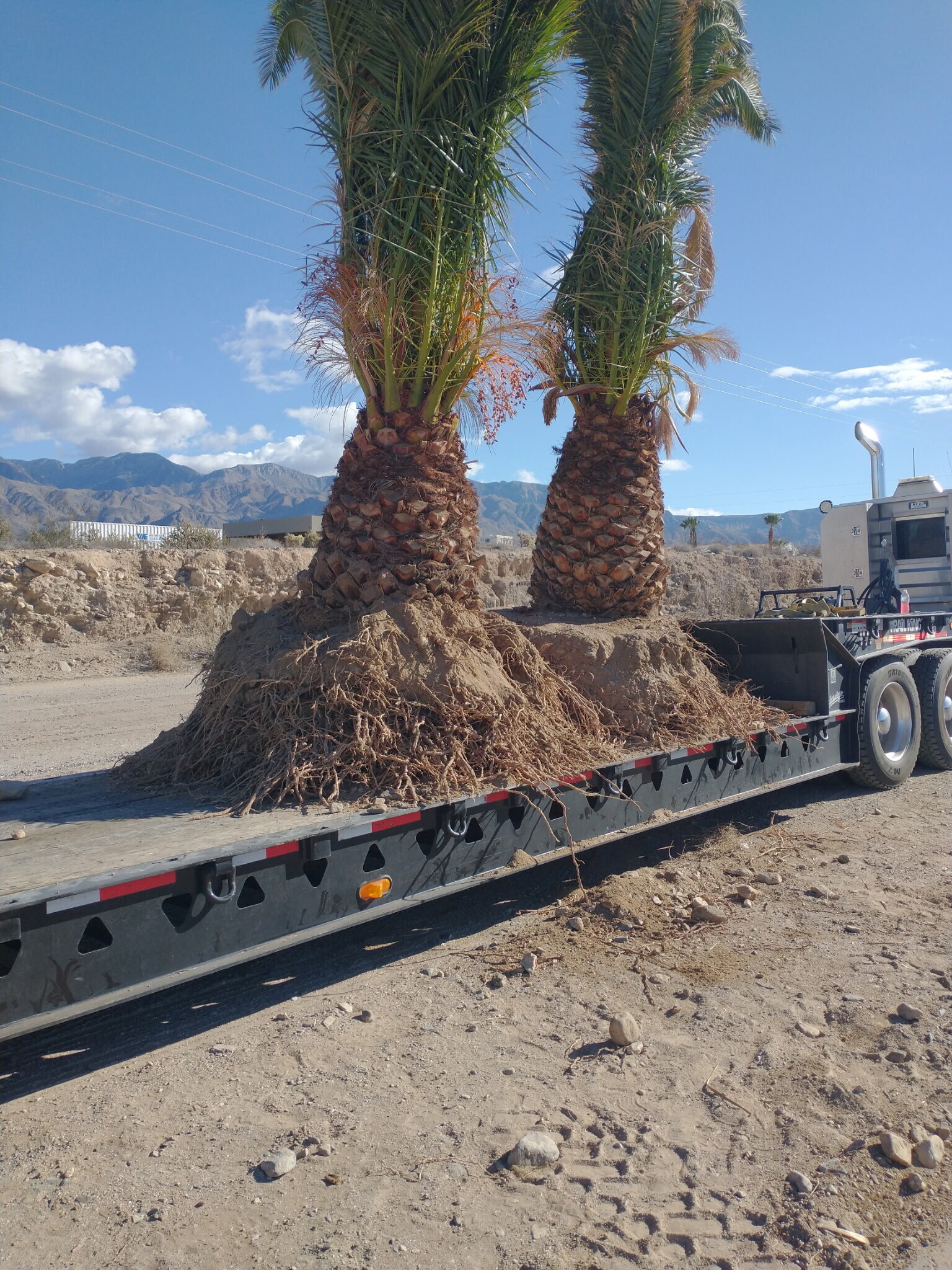 2941 S Franhi Rd, Littlefield, AZ à vendre Photo principale– Image 1 sur 9