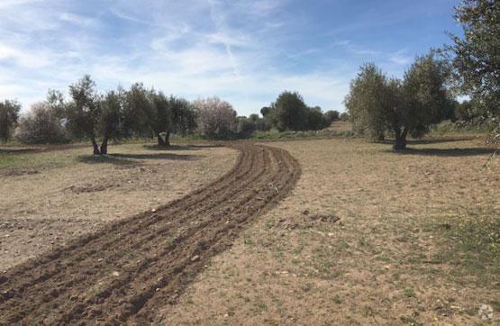 Terrain dans Villamuelas, Toledo à vendre - Photo principale – Image 1 sur 4