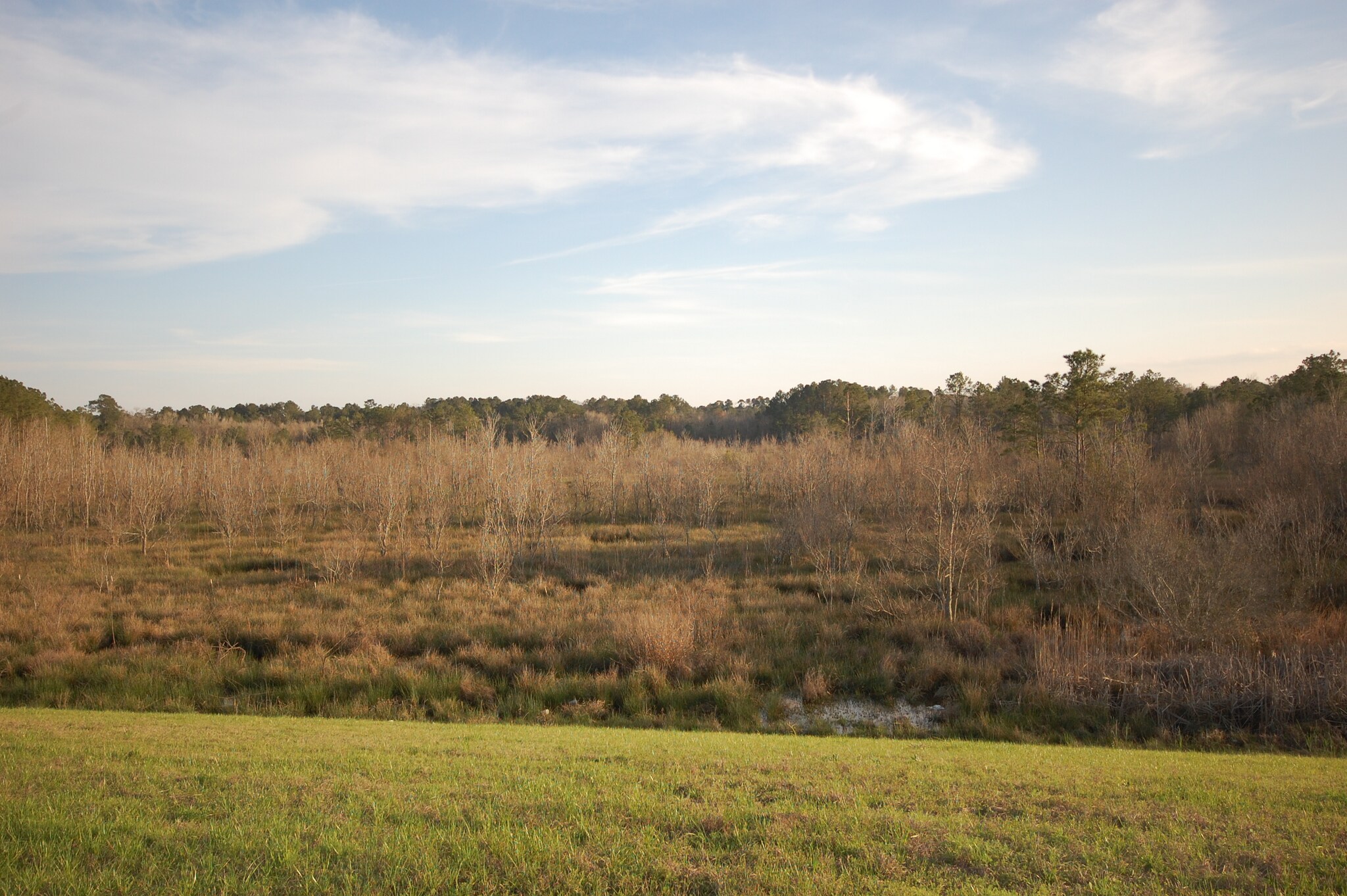 1435 US-59, Cleveland, TX à vendre Photo principale– Image 1 sur 6