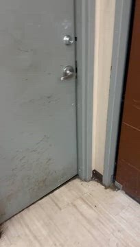 3700 Falls Rd, Baltimore, MD à louer - Vidéo sur l’annonce professionnelle – Image 3 sur 17