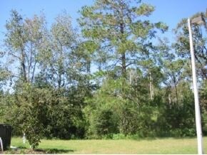 1147 NW 64th Ter, Gainesville, FL à vendre - Photo de l’immeuble – Image 3 sur 3