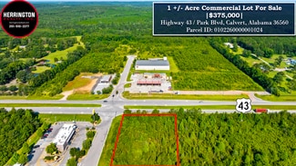 Plus de détails pour 20950 U.S. 43, Mount Vernon, AL - Terrain à vendre