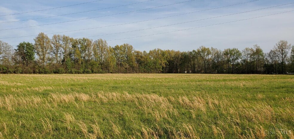 Crescent Dr, Mount Orab, OH à vendre - Photo de l’immeuble – Image 1 sur 4