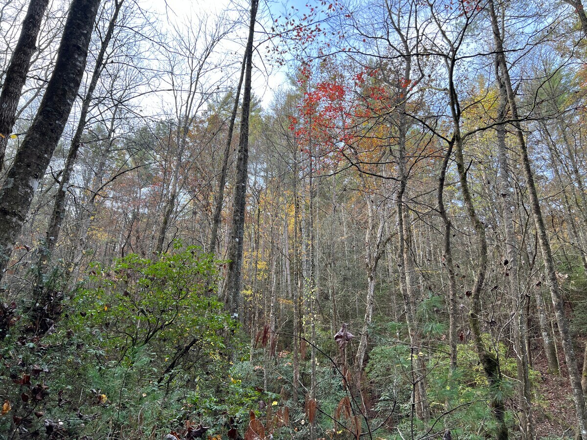 View Photo