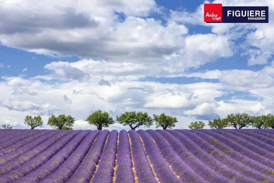 Local commercial dans Salon-de-Provence à louer - Photo de l’immeuble – Image 1 sur 3