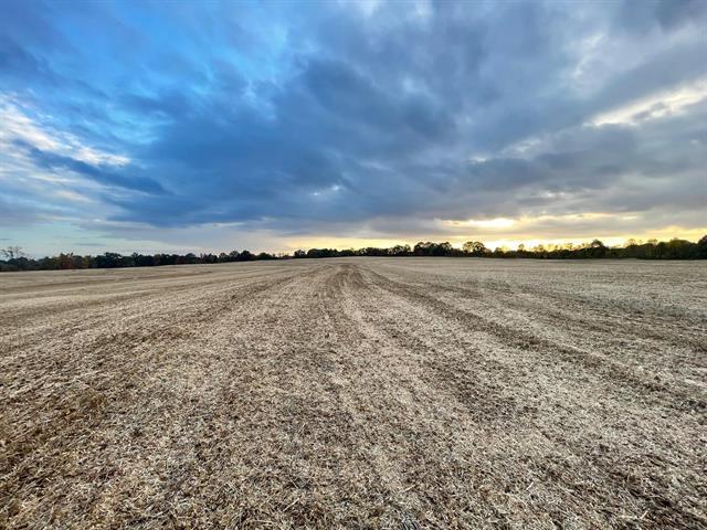 00 Hwy & Anderson Ave, Brownsville, TN à vendre Photo principale– Image 1 sur 12