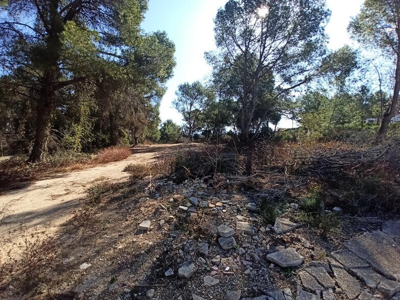 Terrain dans Alberic, Valencia à vendre - Photo principale – Image 1 sur 6