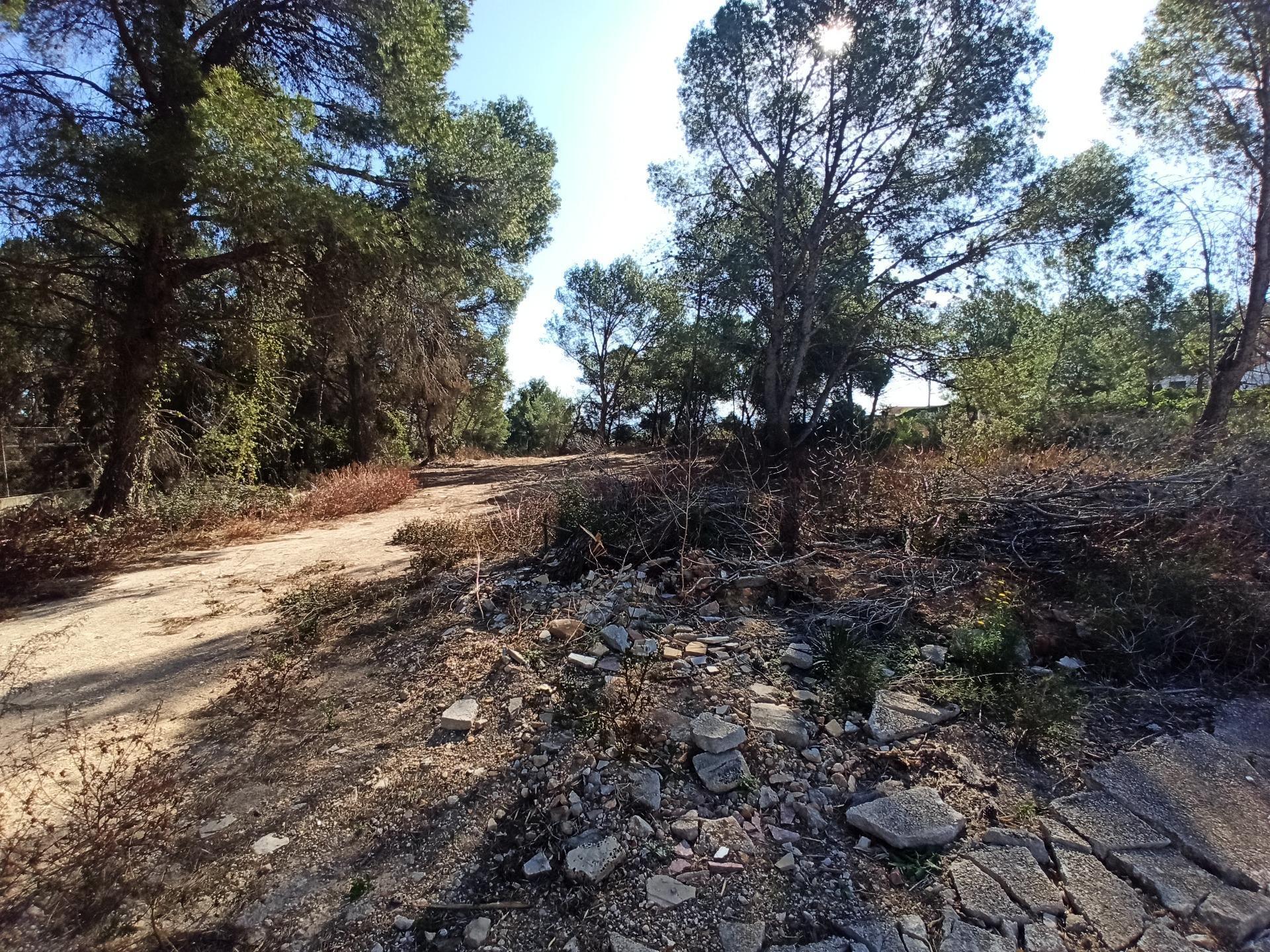 Terrain dans Alberic, Valencia à vendre Photo principale– Image 1 sur 7