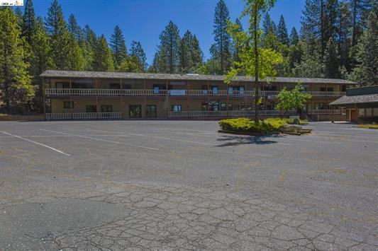 19031 Michele Ln, Twain Harte, CA à vendre Photo de l’immeuble– Image 1 sur 9