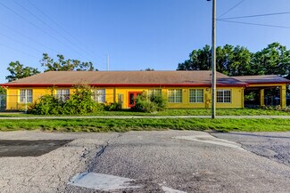 Plus de détails pour 8816 W Robson St, Tampa, FL - Spécialisé à vendre