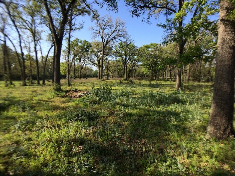 24936 HIGHWAY 159, Hempstead, TX à vendre - Autre – Image 2 sur 11
