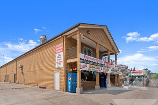 Plus de détails pour 266 Delaware St, Put In Bay, OH - Spécialisé à vendre