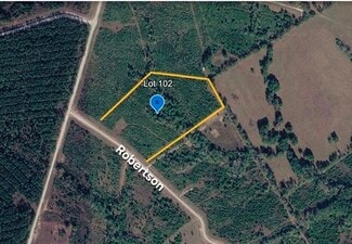Plus de détails pour Tract 102 Robertson rd, Lovelady, TX - Terrain à vendre