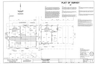 Plus de détails pour 206 Cook St, Barrington, IL - Local commercial à vendre