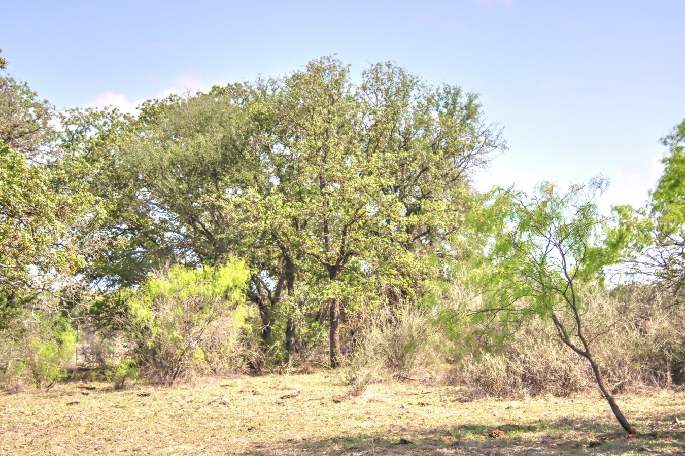 View Photo