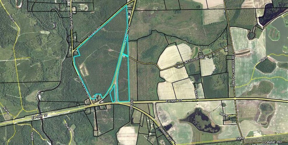 8 Acres Hwy 221 hwy, Lakeland, GA à vendre - Aérien – Image 3 sur 14