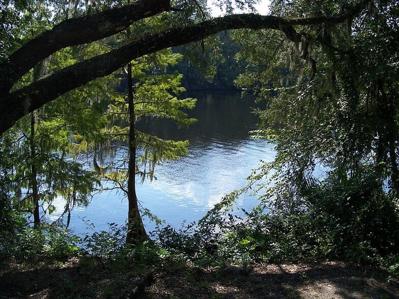 NW CR 250, Mayo, FL à vendre - Autre – Image 2 sur 9