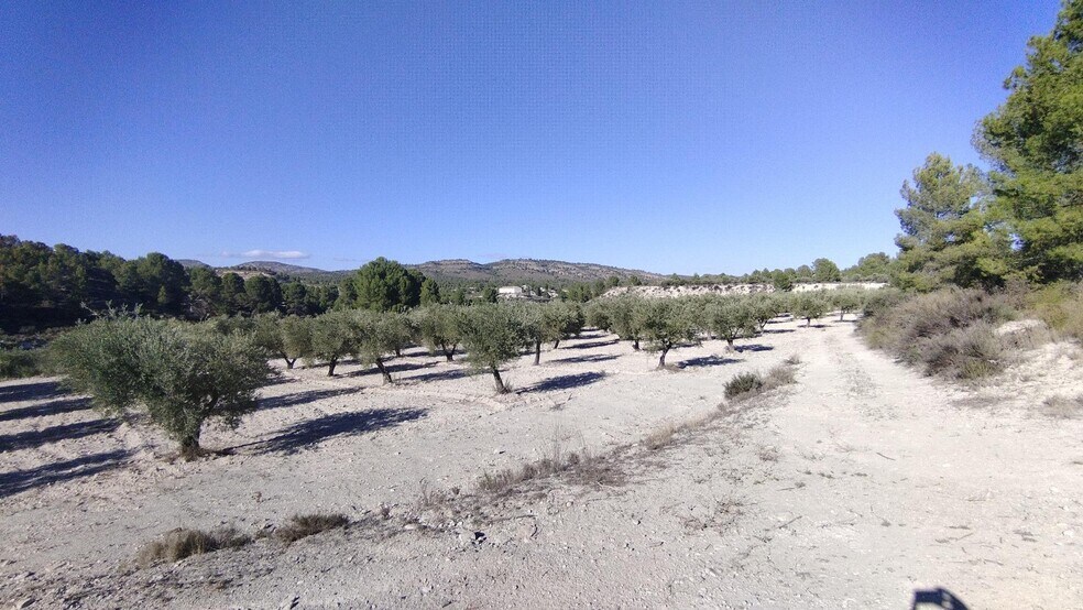 Terrain dans Moratalla, Murcia à vendre - Photo de l’immeuble – Image 3 sur 30