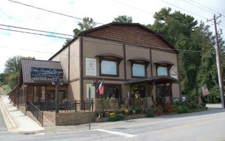 Plus de détails pour 146 Depot St, Blue Ridge, GA - Local commercial à vendre